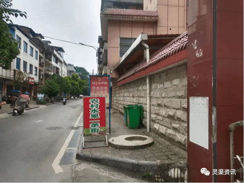 桂林这里搞得好啊 开放水果售卖便民点 县城管局 安置点 网易订阅